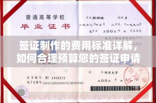 启东签证制作的费用标准详解，如何合理预算您的签证申请成本